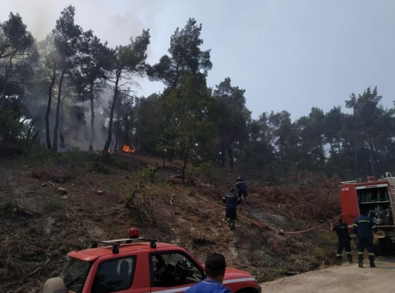 Φωτιά στον Εβρο: Νέα αναζωπύρωση στα βόρεια της Δαδιάς