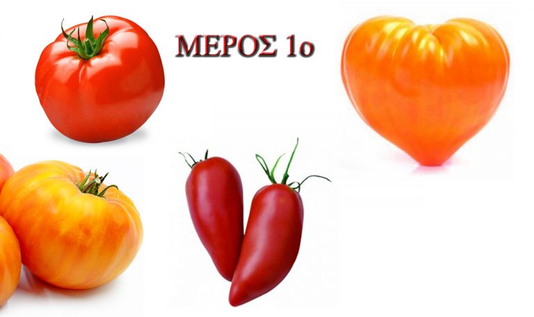 Δοκιμαζουμε παραδοσιακες ποικιλιες ντοματας – Μερος πρωτο