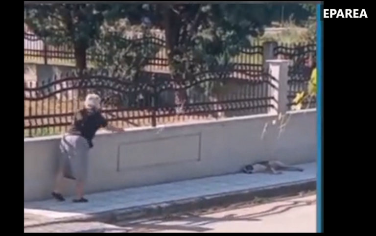 Μαυρόψυχη Ηλικιωμένη Κακοποιεί Αδέσποτο Σκυλάκι