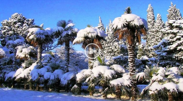 ΣΥΜΒΑΙΝΕΙ κάτι λάθος ΣΤΟΝ ΚΟΣΜΟ!!ΙΣΧΥΡΟΣ ΧΙΟΝΙΑΣ στην Αφρική ΜΕΣ ΤΟ ΚΑΛΟΚΑΙΡΙ!!