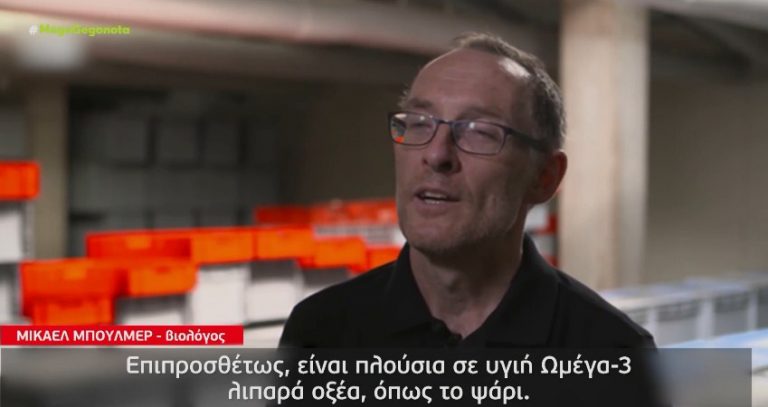 Λαδάκι, κρεμμυδάκι, σκορδάκι και στο τέλος…