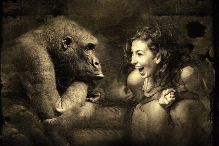 ΔΙΑΣΗΜΕΣ ΜΠΑΡΟΥΦΕΣ