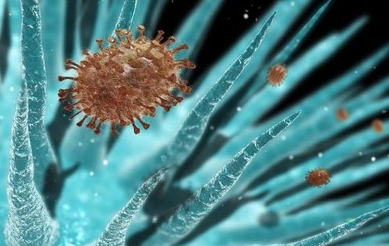 Ο ιός της πολιομυελίτιδας εντοπίστηκε και στη Νέα Υόρκη