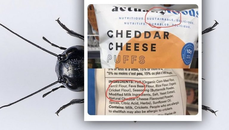 ΚΑΛΗ ΟΡΕΞΗ: “ΟΡΓΑΝΙΚΌ ΑΛΕΎΡΙ ΑΠΟ ΑΛΕΣΜΈΝΟΥΣ ΓΡΎΛΟΥΣ”