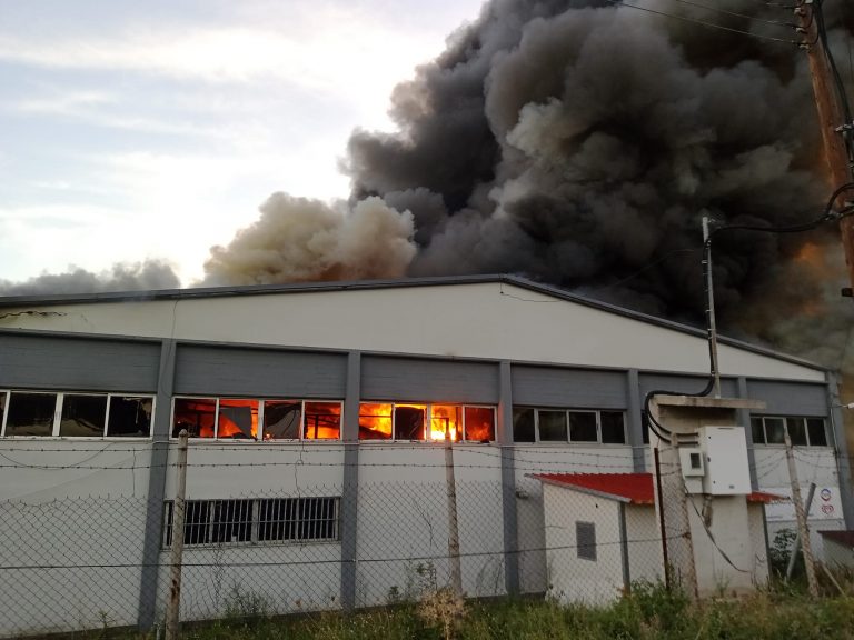 Βόλος: Πυρκαγιά σε εργοστάσιο τροφίμων στην ΒΙΠΕ – Ανυπολόγιστη η καταστροφή σε εμπορεύματα