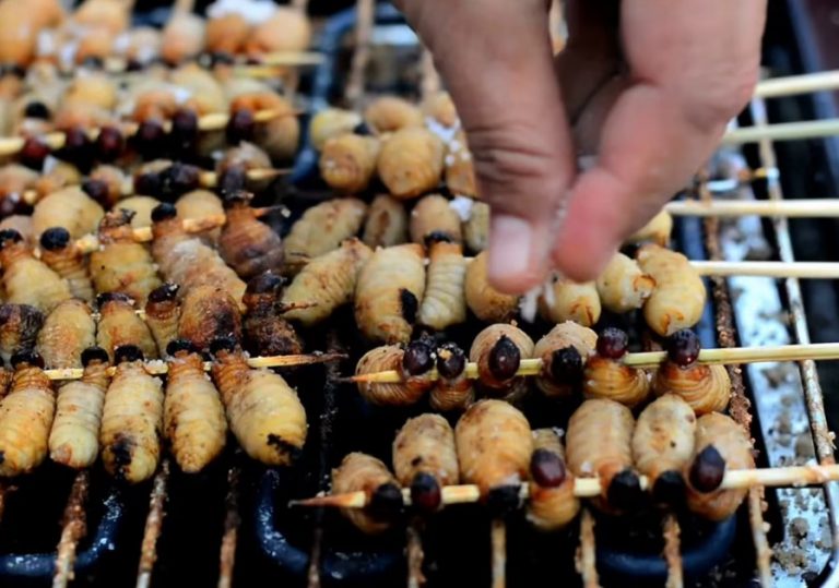 Τι έντομα, τι εμβόλια!!! Θέλουν να μας ξεκάνουν;;; Ρεπορτάζ ΣΟΚ από τις ΗΠΑ