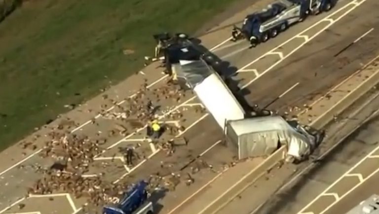 Οκλαχόμα: Ανατροπή νταλίκας με φορτίο γεμάτο ερωτικά βοηθήματα!