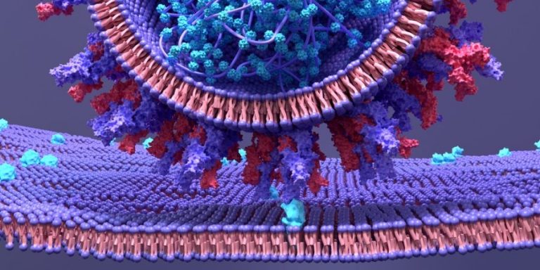 Έρευνα συγκρίνει στοιχεία, επιβεβαιώνει δεδομένα και σοκάρει: Τα εμβόλια mRNA του COVID-19 προκαλούν καρκίνους και θρόμβους