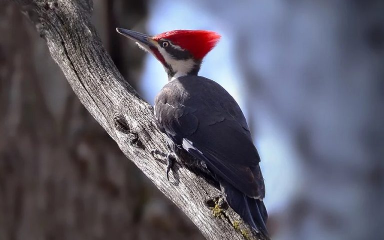 Μην Σ Τ Α Μ Α Τ Α Σ