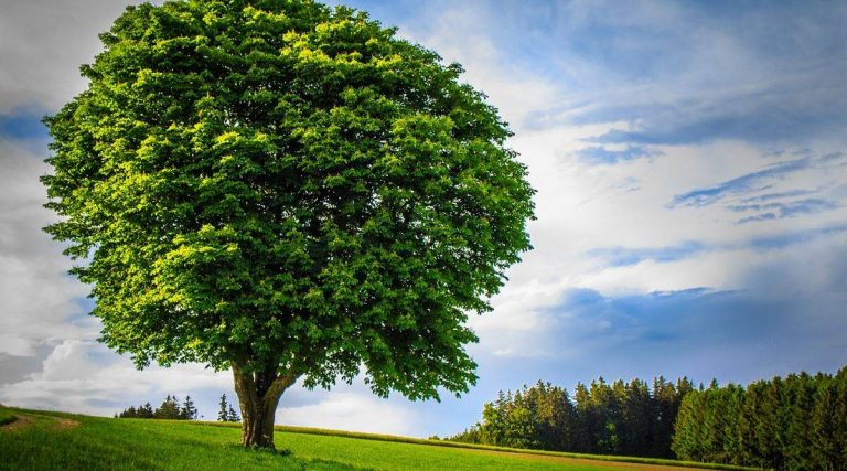 Συνοψη εργων και πραγματων…