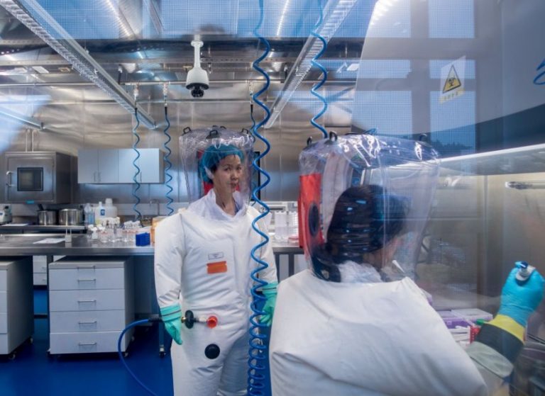 Στέλεχος COVID με ποσοστό θανάτου 80 τοις εκατό σε ποντίκια αναπτύσσουν ερευνητές του Πανεπιστημίου της Βοστώνης ,μήπως για το καλό μας;