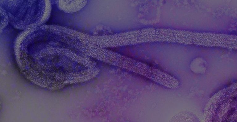 Με ΠΑΡΑΣΙΤΑ θα γεμίσουν την Ευρώπη!!!!!! Έρευνα επιστημόνων σηκώνει ΤΣΟΥΝΑΜΙ