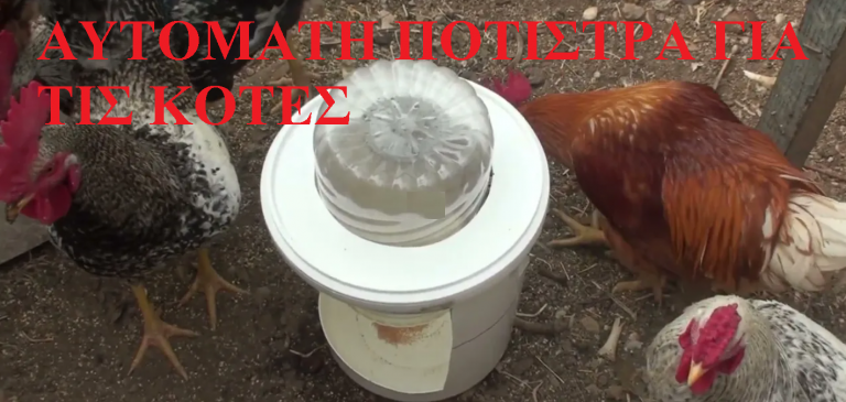 Ποτιστρα για τις κοτες μας – Ευκολη και οικονομικη ποτιστρα