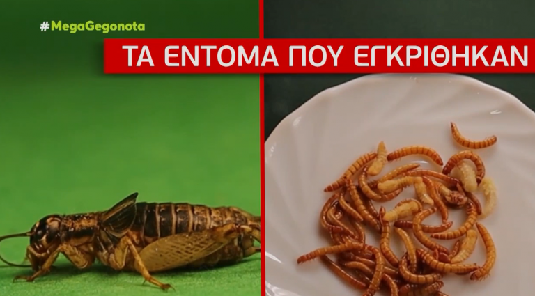 Πασίγνωστη εφημερίδα: ΦΑΤΕ ΕΝΤΟΜΑ, ΕΙΝΑΙ ΝΟΣΤΙΜΑ