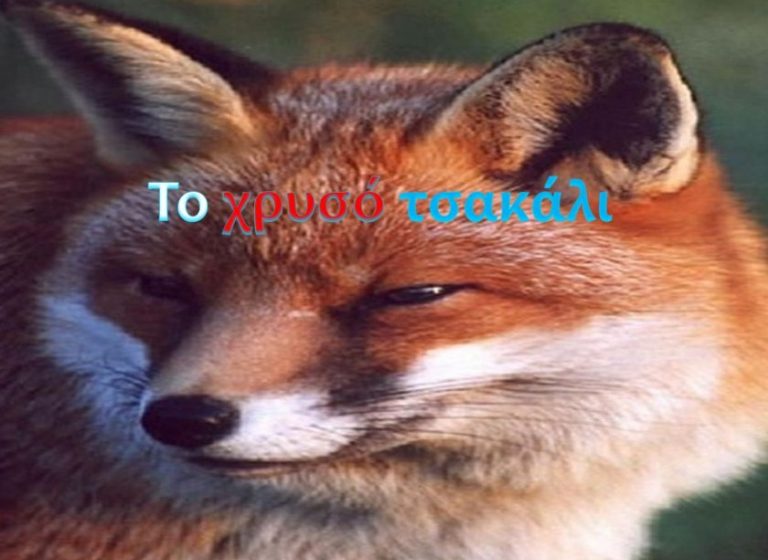 Ο Αντιπερισπασμός τους και ο Αντιαντιπερισπασμός μας…