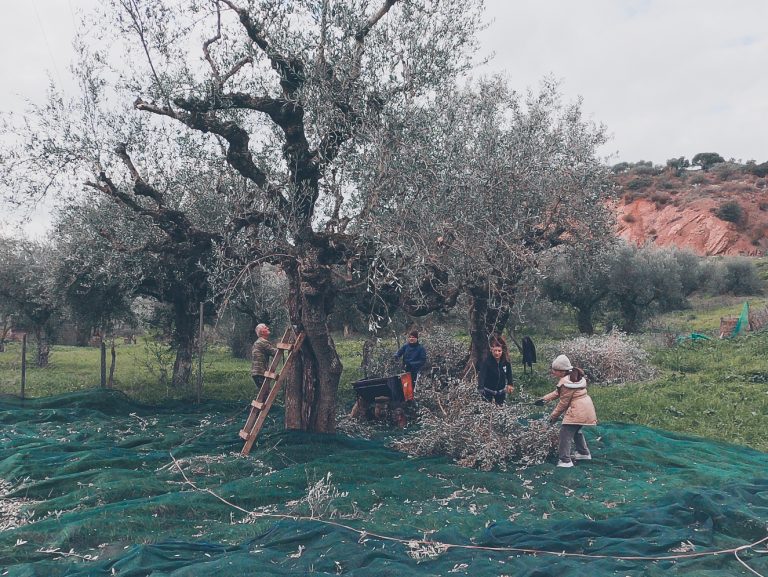 Επιστροφή στις ρίζες…Μπορούμε!