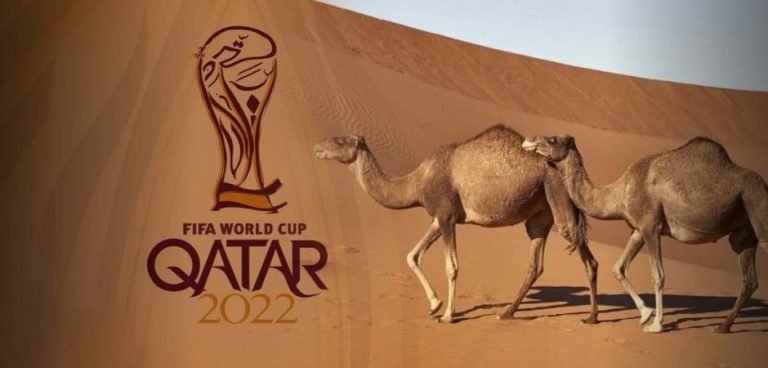 Ανησυχία για την «γρίπη της καμήλας» μετά το Μουντιάλ – Μολύνθηκαν 3 Γάλλοι ποδοσφαιριστές – Πώς κολλούν οι ασθενείς