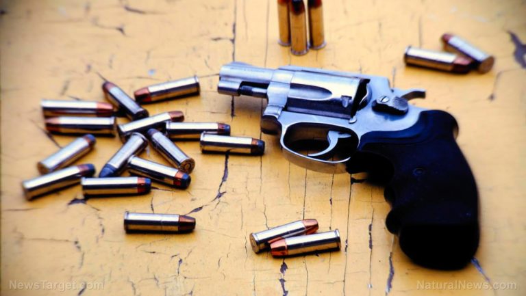 Γάλλοι ιδιοκτήτες όπλων παραδίδουν τα όπλα τους σε αριθμούς ρεκόρ σε σημεία συλλογής της αστυνομίας σε όλη τη χώρα, καθώς η κυβέρνηση απαιτεί αφοπλισμό του λαού