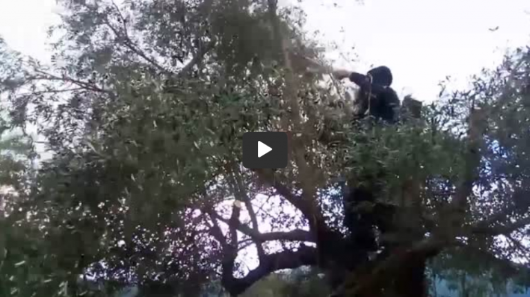 ΕΜΕΙΣ ΔΕΝ ΕΥΑΡΕΣΤΗΣΑΜΕ ΘΕΟ-ΒΛΑΜΜΕΝΟΙ ΚΑΛΗΝΎΧΤΑ ΣΑΣ-ΤΟ ΚΑΛΎΤΕΡΟ ΦΆΡΜΑΚΟ