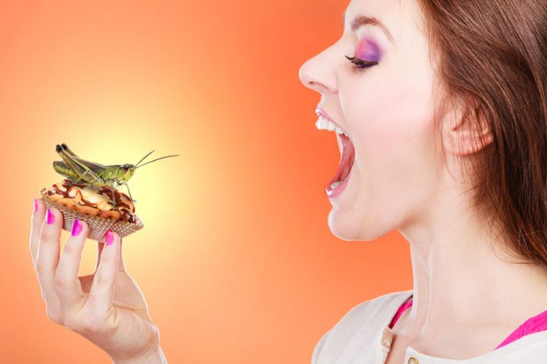 Θα φάτε γενετικά τροποποιημένα έντομα και συνθετικό κρέας για να «σώσετε τον πλανήτη»; Αυτό προωθούν ως «βιώσιμη» διατροφική λύση…για να σε ελέγχουν διατροφικά! Θα αφυπνισθείς;