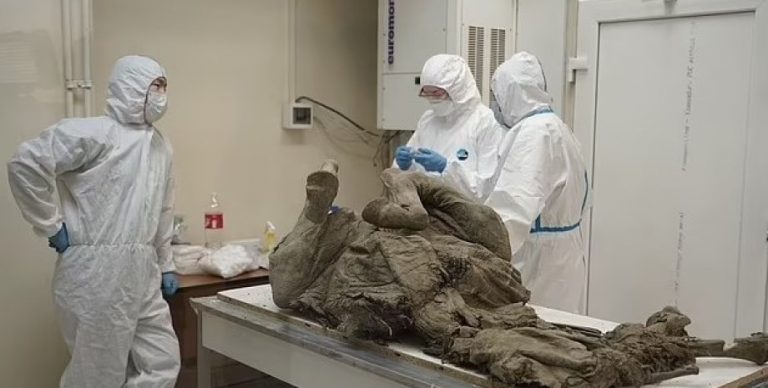 Το ξύπνημα της αρχαίας «μάστιγας». Ρώσοι επιστήμονες προσπαθούν να αναστήσουν τον ιό των ζόμπι που σκότωσε τα μαμούθ.