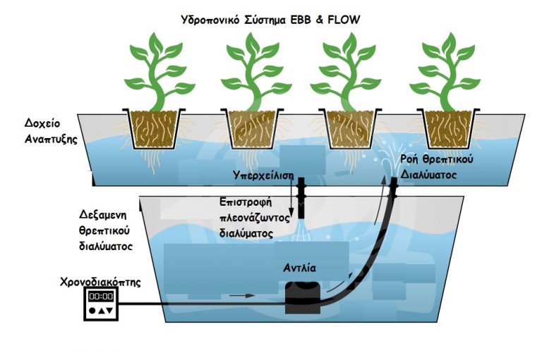 Πως μπορούμε να φτιάξουμε υγρο λίπασμα για σύστημα υδροπονίας