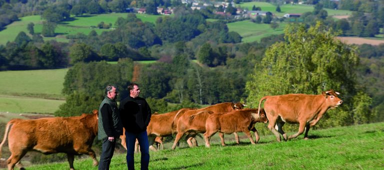 Ποια είναι η πιο αποτελεσματικη κτηνοτροφια για να ξεκινήσει κάποιος