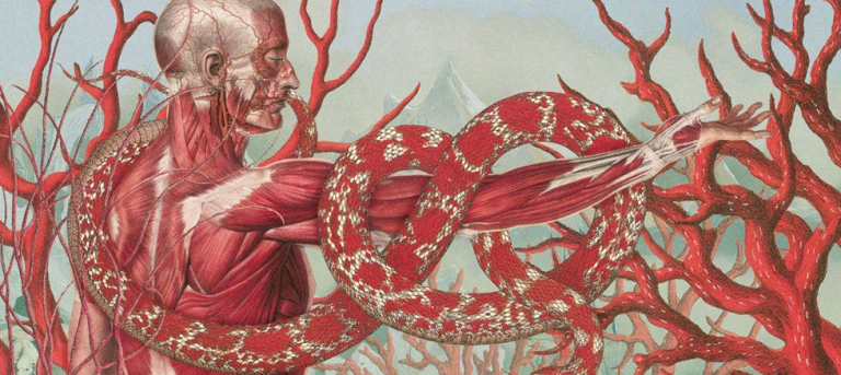 Η Εξάπλωση της Πετροχημικής Ιατρικής