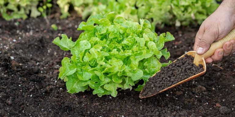 Πως να φτιάξω βιολογικο λίπασμα