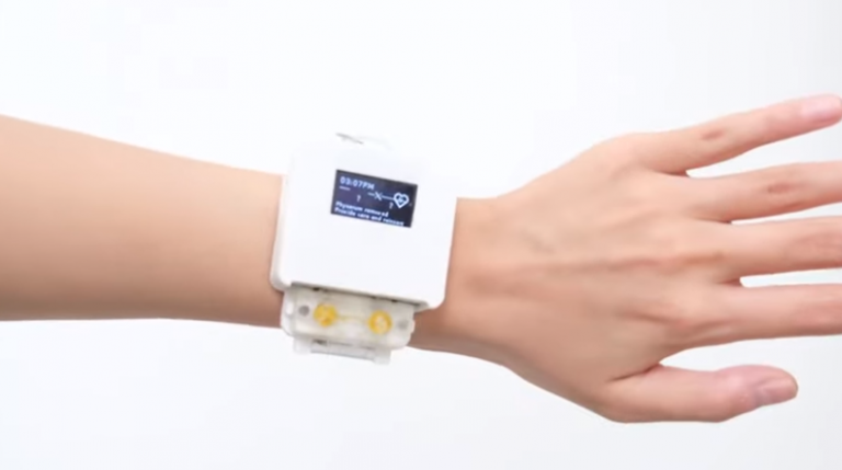 Επιστήμονες κατασκεύασαν ένα «έξυπνο» ρολόι που λειτουργεί χάρη σε ένα ζωντανό οργανισμό