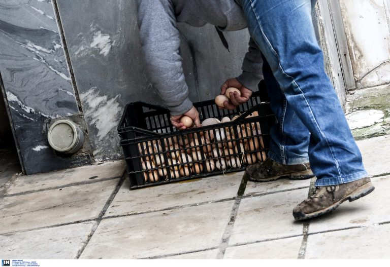 ΑΓΡΙΑ ΦΤΩΧΕΙΑ: Τελειώνουν τα αυγά, σκηνές ΑΠΟΚΑΛΥΨΕΩΣ σε ΗΠΑ και Βρετανία,