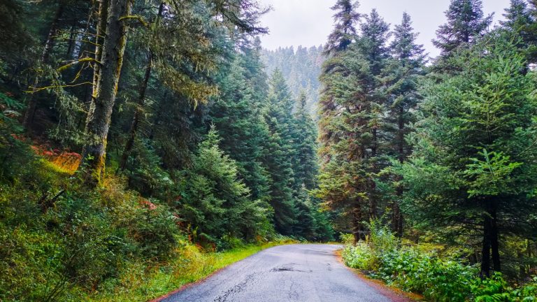 Δεν ξεχνάμε, η ζωή είναι εκεί έξω και μας περιμένει!