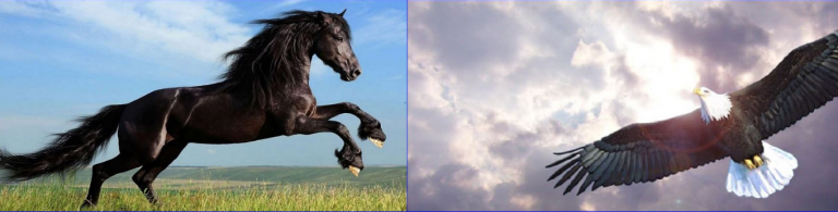Eagles and Horses