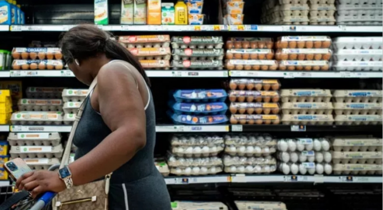 ΗΠΑ: Εκτινάσσονται οι τιμές των αυγών λόγω της γρίπης των πτηνών – Νεκρά 58 εκατομμύρια πτηνά σε λίγους μόνο μήνες