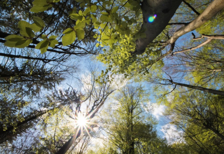 Oι Αγιοι ένα μέρος γνωρίζουν από τά βάθη του Θεού