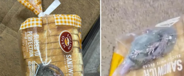 Ινδια: Αγόρασε ψωμί για τοστ και βρήκε έναν ζωντανό αρουραίο!