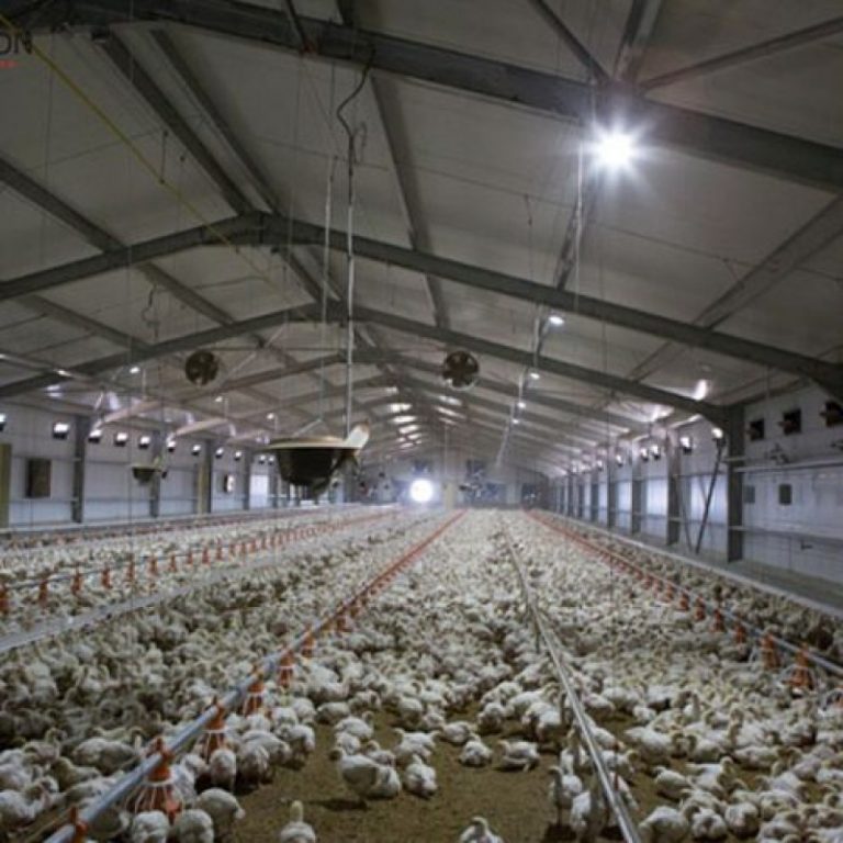 Οποιος Ελληνας εχει μοναδες εκτροφης ..ΠΡΟΣΟΧΗ – ΠΡΟΣΟΧΗ