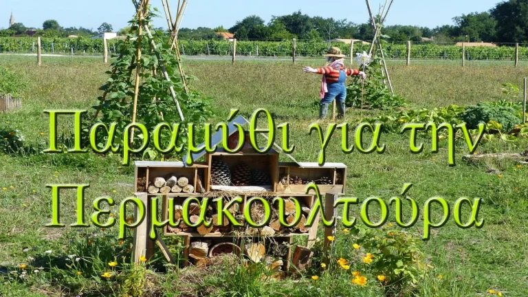 Παραμύθι: Μια ιστορία για την περμακουλτούρα και την αφθονία