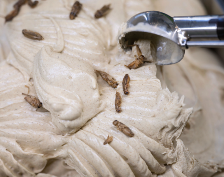 Στην Γερμανία κυκλοφόρησαν τα πρώτα παγωτά… με γέυση εντόμων