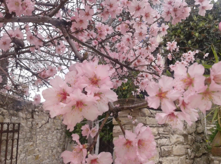 Φύλαξε τὴ συνείδησή σου