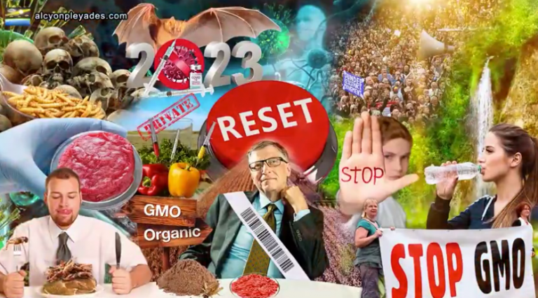 ΣΥΝΘΕΤΙΚΆ ΤΡΌΦΙΜΑ, ΒΙΟΛΟΓΙΚΌ ΌΠΛΟ, ΠΙΛΌΤΟΙ, ΠΑΙΔΙΆ, ΗΘΟΠΟΙΟΊ ΥΠΈΡ-ΚΑΤΆ Ε