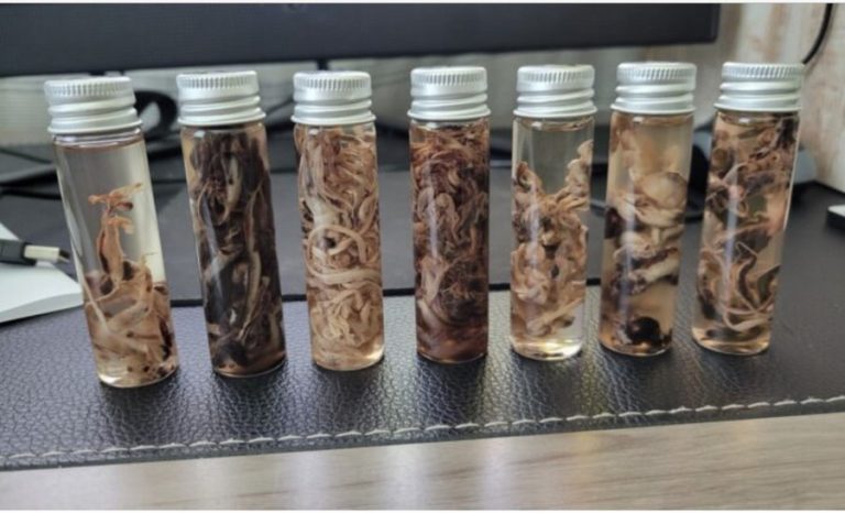 ΑΠΟΚΑΛΥΠΤΙΚΟ ΒΙΝΤΕΟ: Αυτό συμβαίνει όταν το ανθρώπινο αίμα εκτίθεται στην γονιδιακή μετάλλαξη