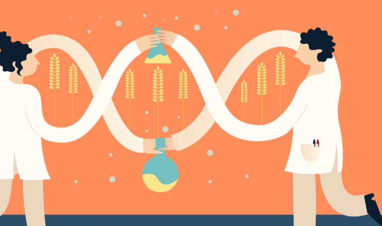 Νέες ανησυχίες για το γενετικό υλικό στην προμήθεια τροφίμων