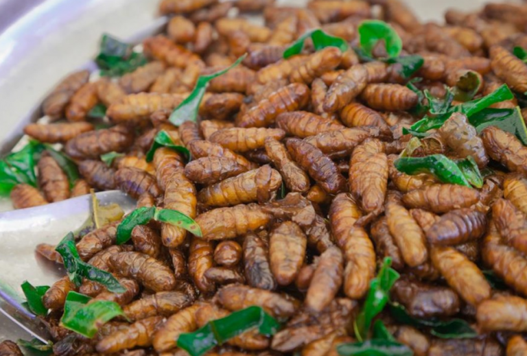 «Αφήστε τους να φάνε ζωύφια»!!! Ένα βίντεο για το φαγητό που έρχεται…