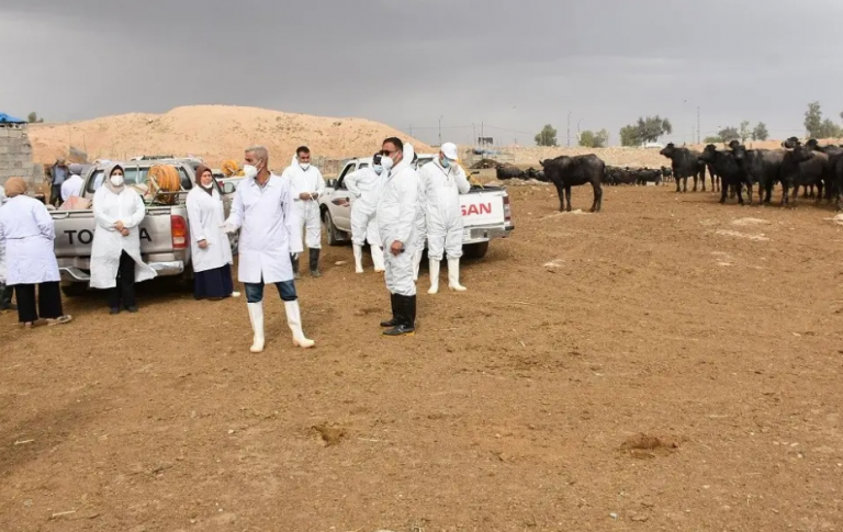 13 νεκροί στο Ιράκ εξαιτίας του αιμορραγικού πυρετού Κριμαίας-Κονγκό το 2023