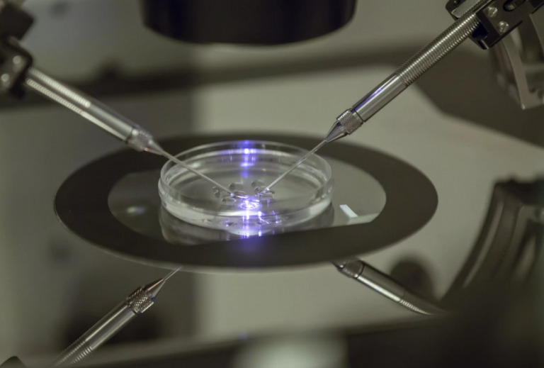 Βρετανία: Πρώτες γεννήσεις βρεφών με DNA από τρεις ανθρώπους