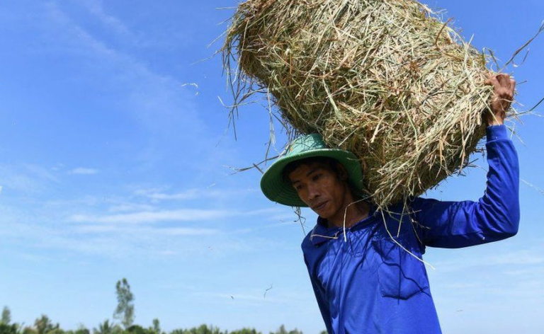 Βιετνάμ: «Έσπασαν» τα θερμόμετρα από τη ζέστη – Οι αρχές κατέγραψαν θερμοκρασία ρεκόρ