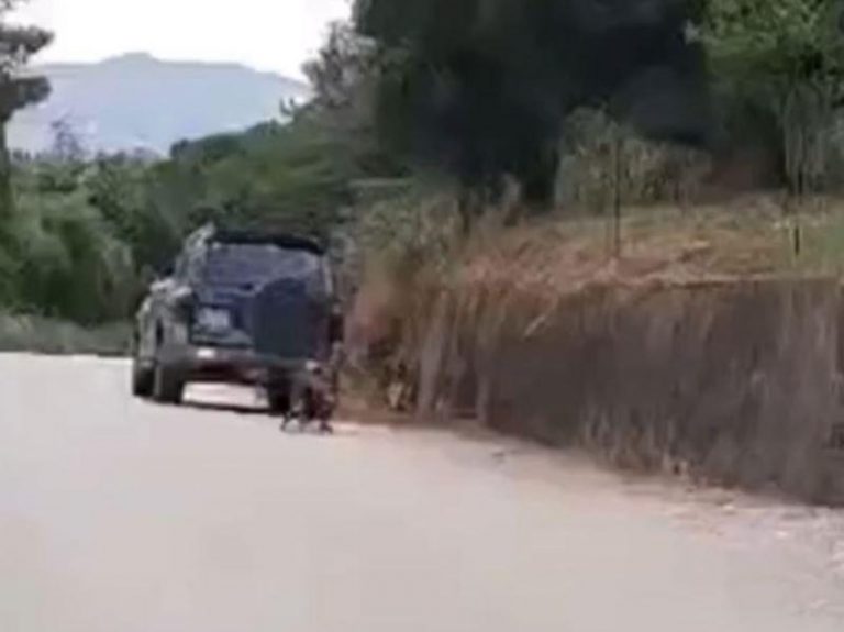 Αποτρόπαιο περιστατικό βασανισμού ζώου στο Μουζάκι – Κατοίκος έσερνε με αυτοκίνητο τετράποδο