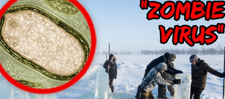 Επιστρέφει η «τρομολαγνεία»: Ανακάλυψαν ιούς… «ζόμπι» οι «ειδικοί» γιατί «λιώνουν οι πάγοι» – Ποιοι είναι οι 6 νέοι Covid-19
