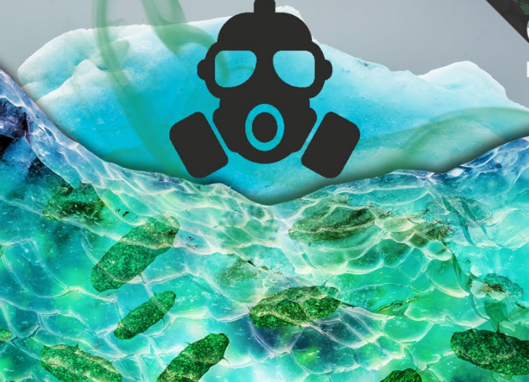 «Η κλιματική αλλαγή φέρνει θανατηφόρες ασθένειες»!! Αναγγελίες τρόμου στην Ελλάδα